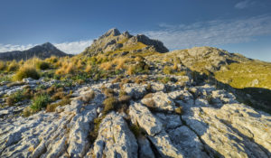Puig Major vom Coll dels Reis, Serra de Tramuntana, Mallorca, Balearic Islands, Spain Puig Major vom Coll dels Reis, Serra de Tramuntana, Mallorca, Balearic Islands, Spain